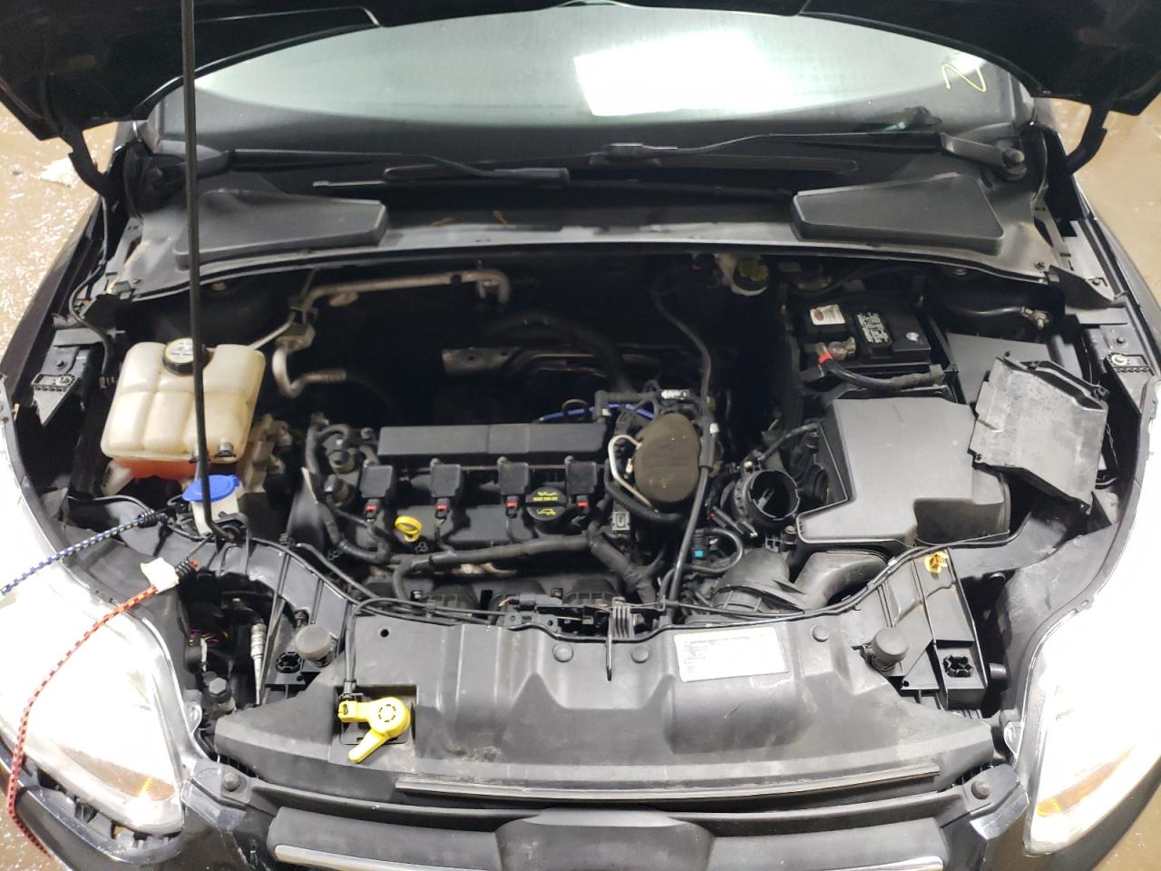 1FADP3F29DL344556 2013 Ford Focus Se