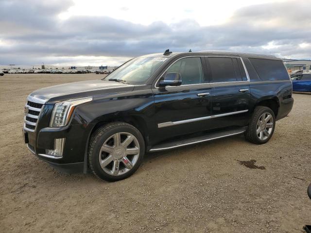 2020 Cadillac Escalade ESV Luxury