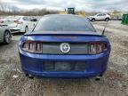 Lot #2390408094 2014 FORD MUSTANG