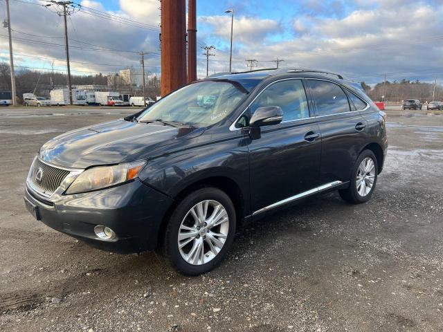 JTJBC1BA7A2021099 | 2010 Lexus rx 450