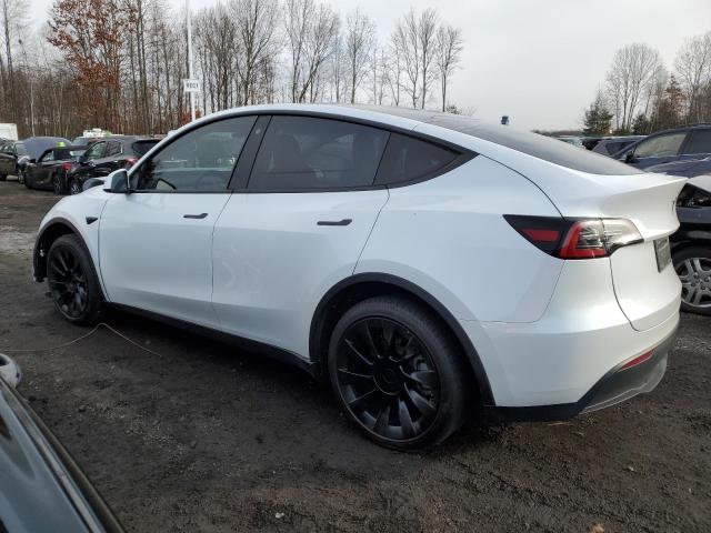 7SAYGAEE7PF671446 | 2023 TESLA MODEL Y