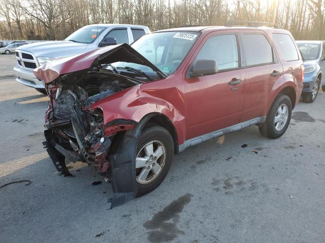 2010 Ford Escape XLT