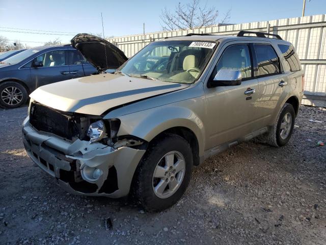 2010 Ford Escape XLT