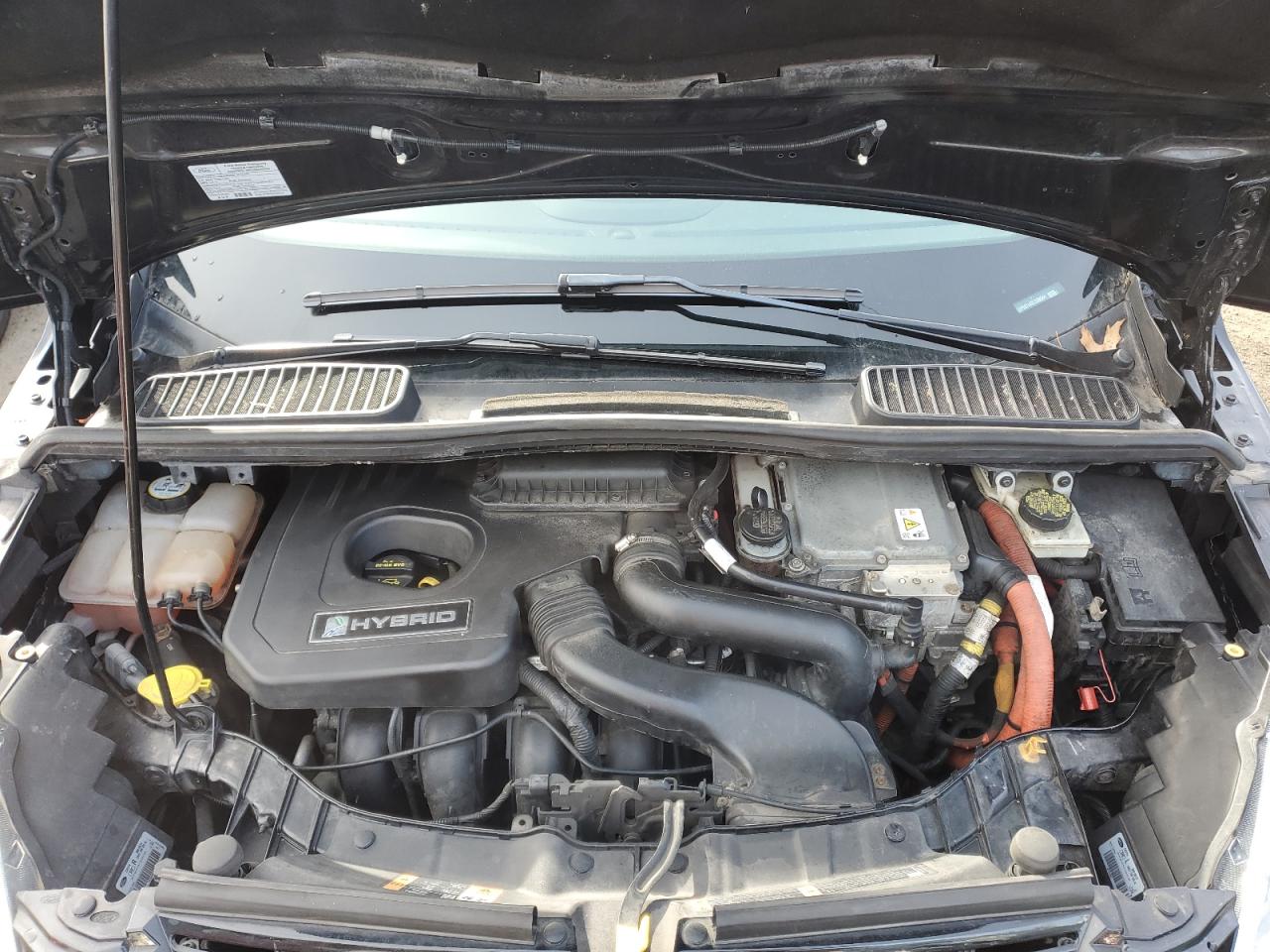 1FADP5BU4DL539564 2013 Ford C-Max Sel 1FADP5BU4DL539564 2013 Ford C-Max Sel