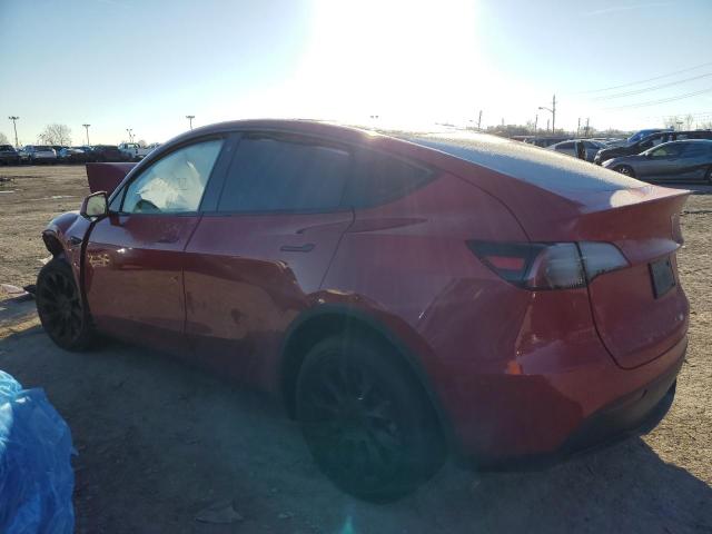 7SAYGDEE6PF626032 | 2023 TESLA MODEL Y