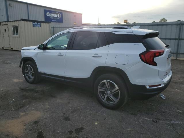 3GKALPEV4KL252434 | 2019 GMC TERRAIN SL