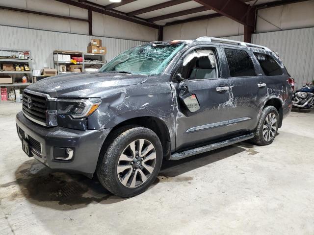 2019 TOYOTA SEQUOIA LI - 5TDJY5G15KS166491