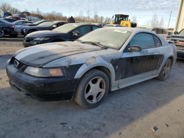 Lot #2494236736 2002 FORD MUSTANG salvage car
