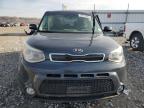 KIA SOUL ! photo