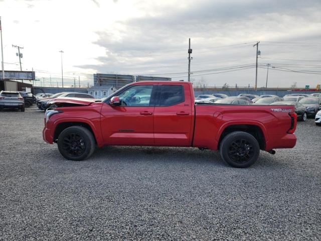 2022 Toyota Tundra Double Cab Sr VIN: 5TFLA5DA0NX023948 Lot: 80117923