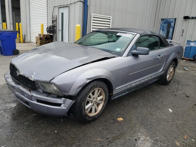 Lot #2407040207 2006 FORD MUSTANG salvage car