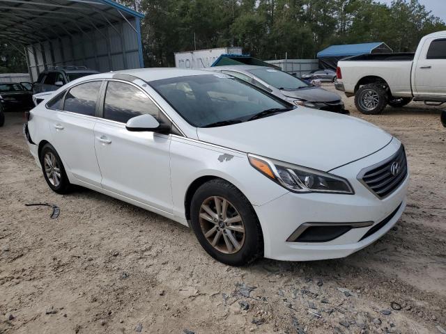 5NPE24AF6GH402242 | 2016 HYUNDAI SONATA SE