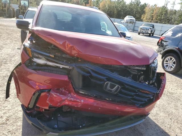 2023 HONDA PILOT TRAI 5FNYG1H61PB051323