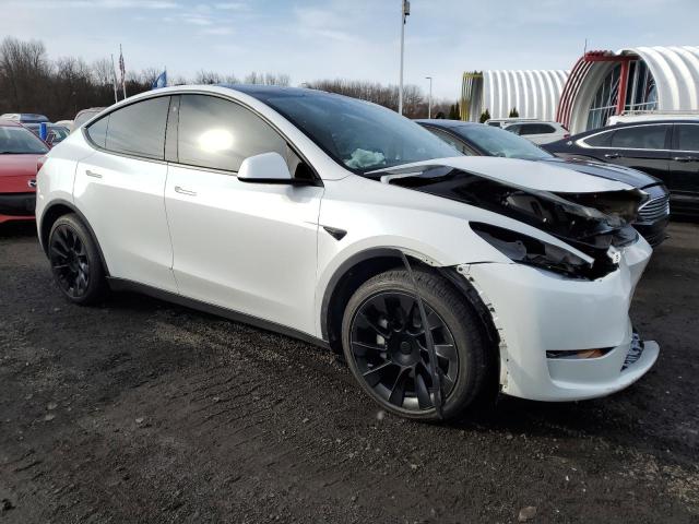 7SAYGAEE7PF671446 | 2023 TESLA MODEL Y