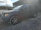 Lot #3025173192 2006 NISSAN PATHFINDER