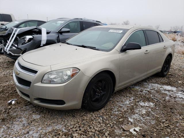Vin: 1g1zb5e16bf180383, lot: 81009693, chevrolet malibu ls 2011 img_1