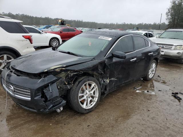 Nissan Maxima
