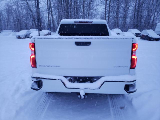 2020 CHEVROLET SILVERADO - 1GCPYBEH0LZ137439