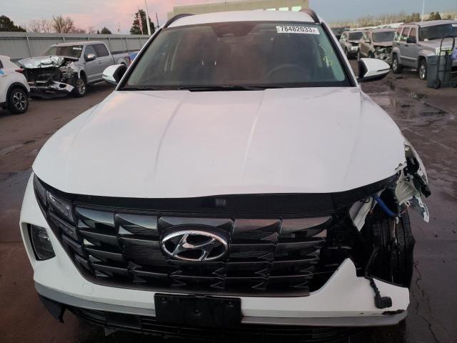 KM8JBCAE6PU244647 | 2023 HYUNDAI TUCSON SEL