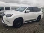 2023 LEXUS GX 460 - JTJAM7BX2P5344709