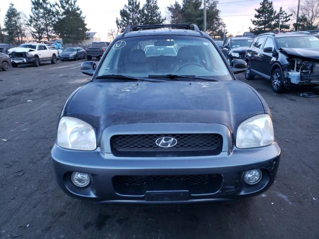 2004 Hyundai Santa Fe Gls VIN: KM8SC73E74U666976 Lot: 79136673