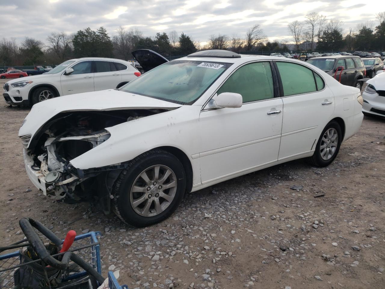 JTHBA30G345040181 2004 Lexus Es 330