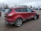 FORD ESCAPE TIT снимка