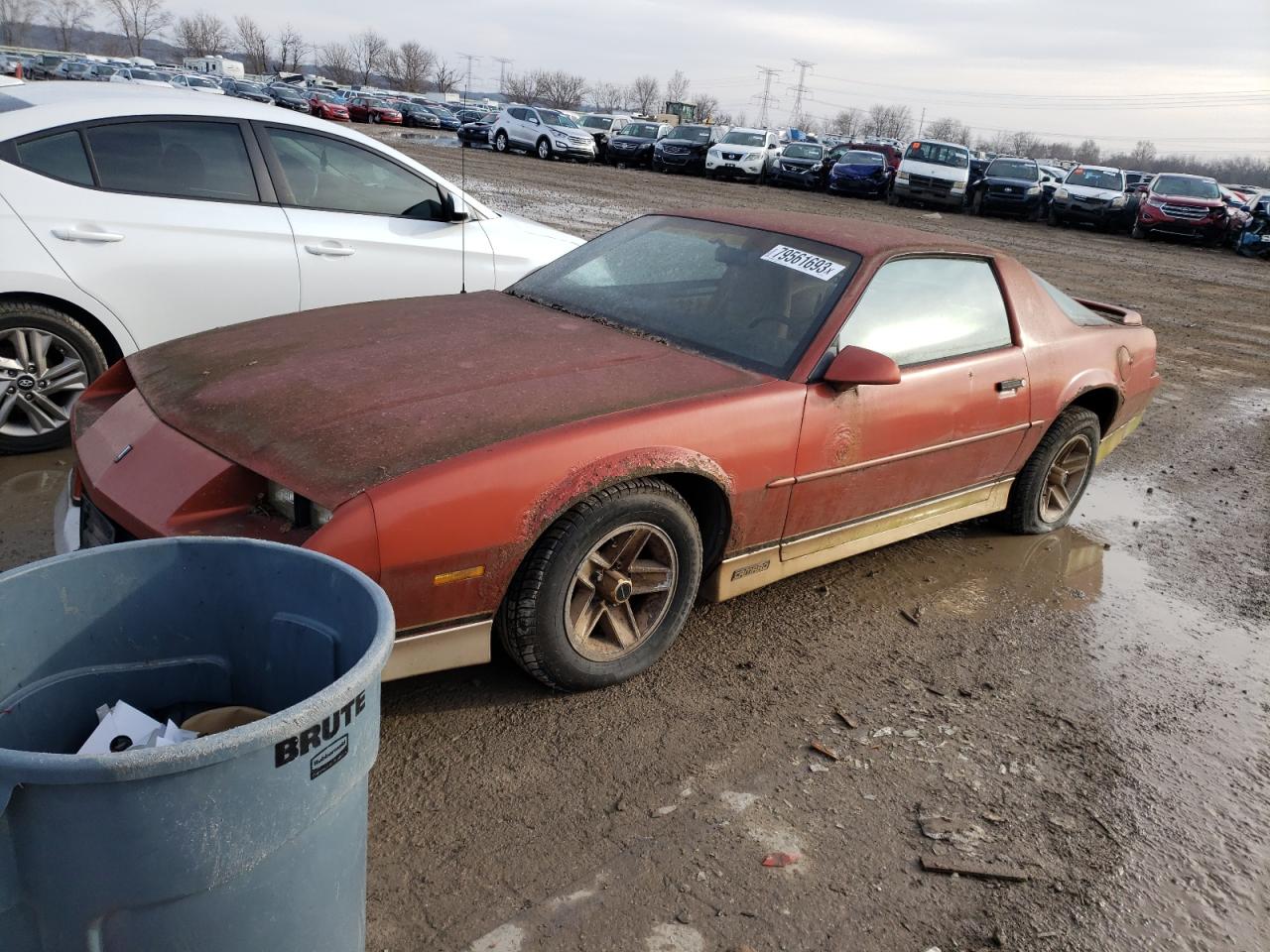 1G1FP21S3JL129585 1988 Chevrolet Camaro