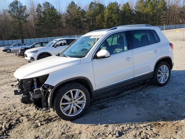 2013 Volkswagen Tiguan S VIN: WVGBV7AX1DW517000 Lot: 79866583