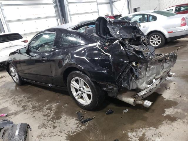 1ZVBP8AM0E5327445 | 2014 FORD MUSTANG