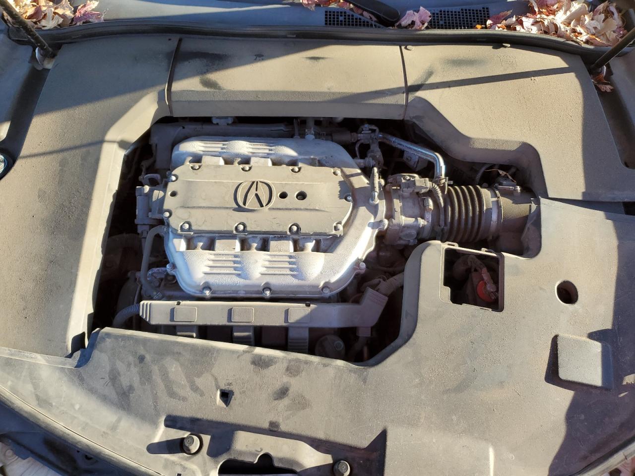 19UUA96509A006766 2009 Acura Tl