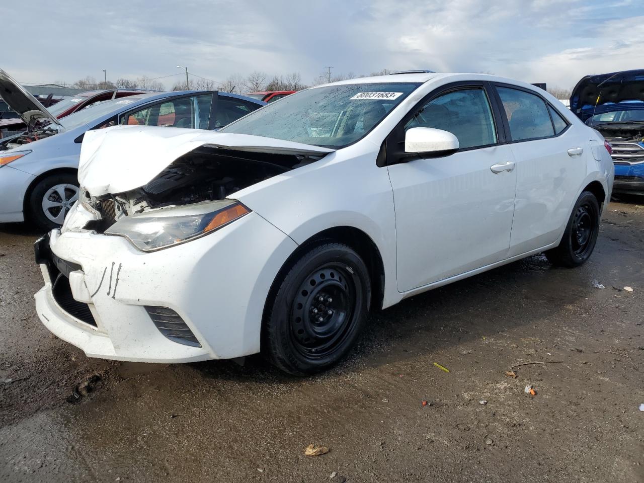 Lot #2533633990 2016 TOYOTA COROLLA L