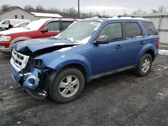 2010 Ford Escape XLT