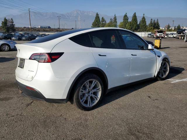 7SAYGDEEXNF428227 | 2022 TESLA MODEL Y