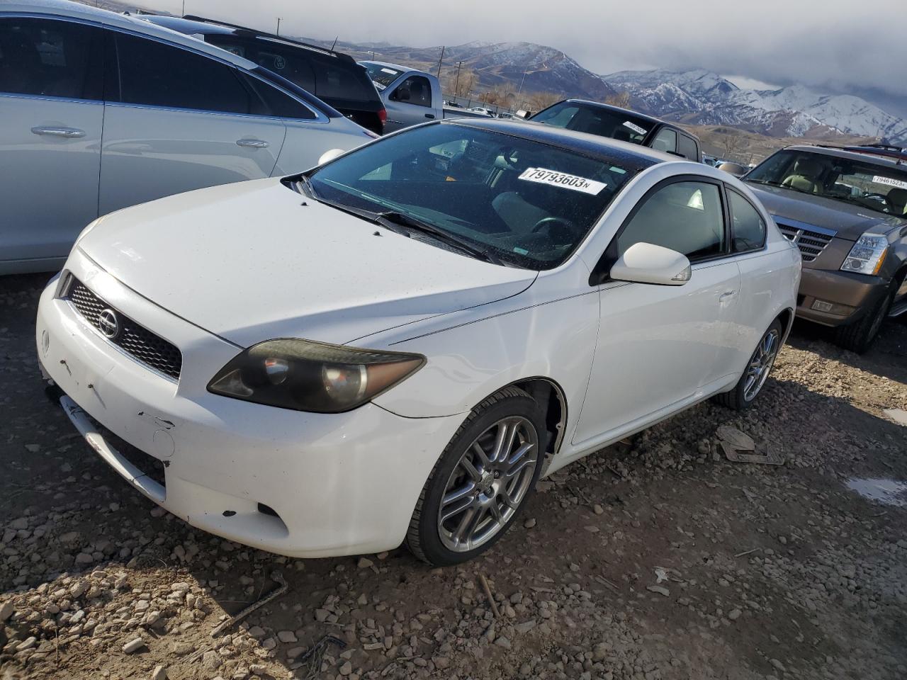 Scion TC I 2006