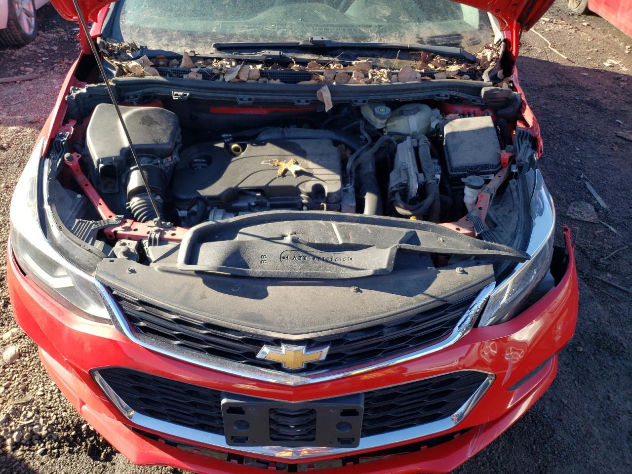 VIN: 1G1BE5SM1H7175117 2017 CHEVROLET CRUZE