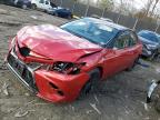 2021 TOYOTA CAMRY TRD - 4T1KZ1AK2MU053491
