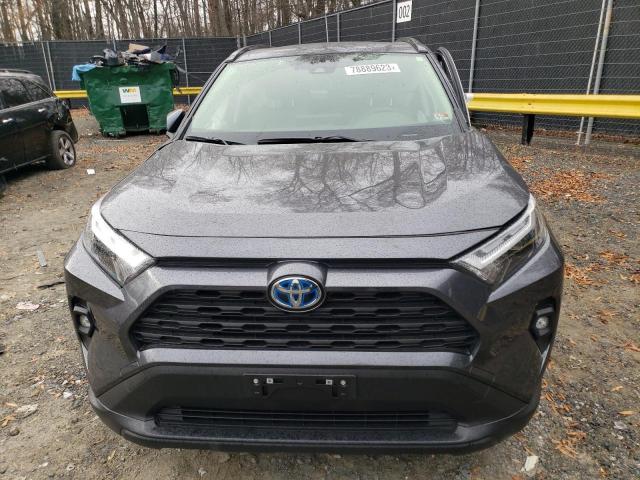 JTMB6RFV3PD098541 | 2023 TOYOTA RAV4 XLE P