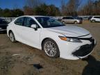 Lot #3051394661 2020 TOYOTA CAMRY XLE