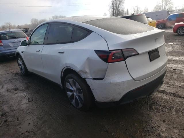 5YJYGDEE5MF094264 | 2021 TESLA MODEL Y