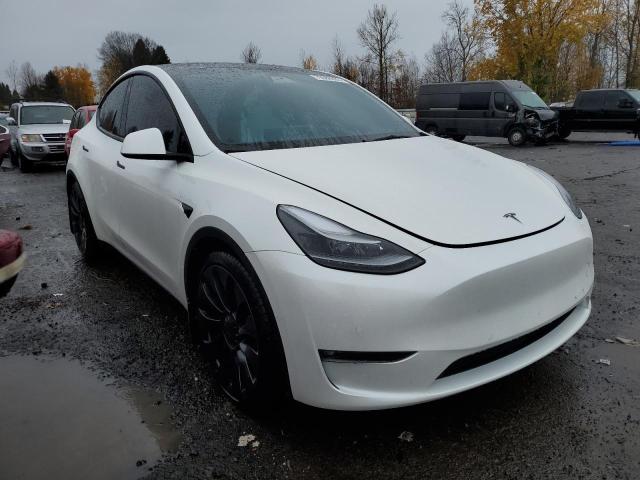 7SAYGDEF4NF463984 | 2022 TESLA MODEL Y