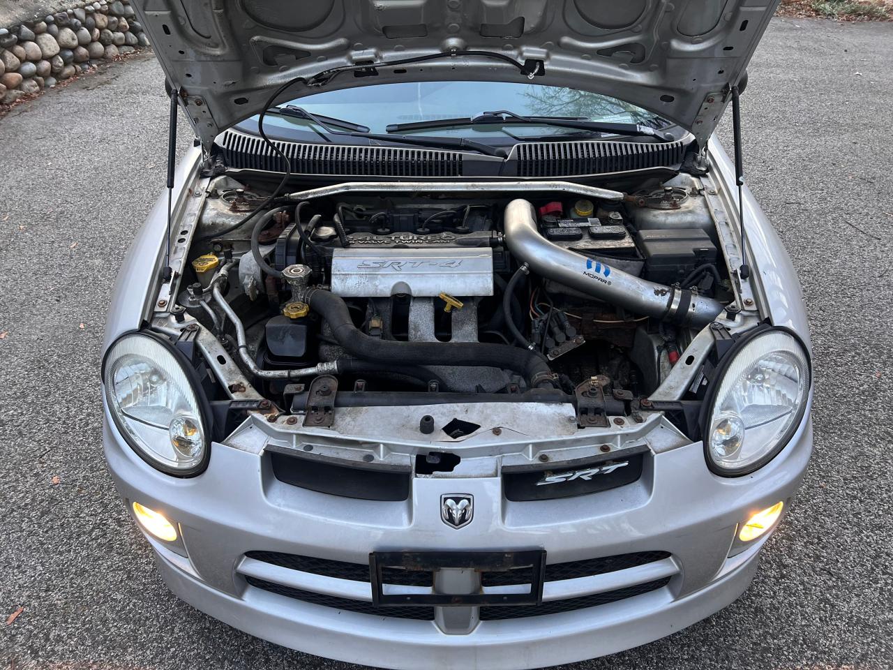 1b3es66s84d578438 1B3ES66S84D578438 2004 Dodge Neon Srt-4