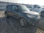 KIA SOUL ! photo