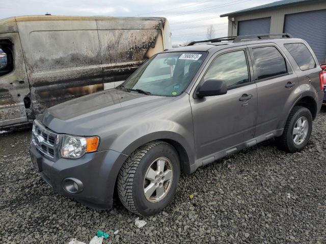 Lot #2323182714 2010 FORD ESCAPE XLT salvage car