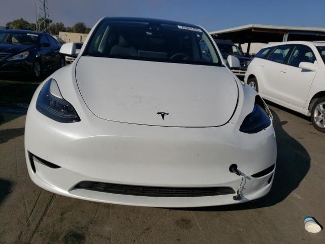 7SAYGAEE4PF591179 | 2023 TESLA MODEL Y