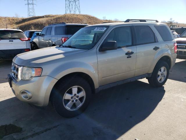 2010 Ford Escape XLT