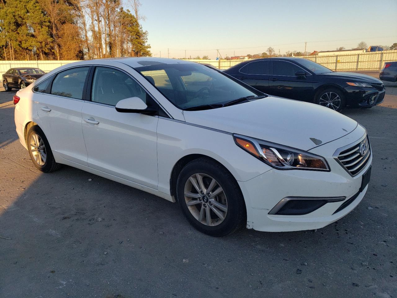 5NPE24AF8HH578081 2017 Hyundai Sonata