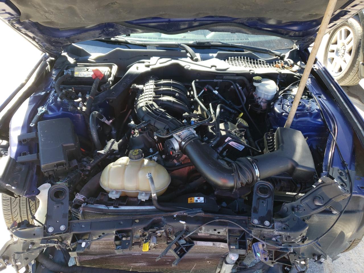 1fa6p8amxf5381315 1FA6P8AMXF5381315 2015 Ford Mustang