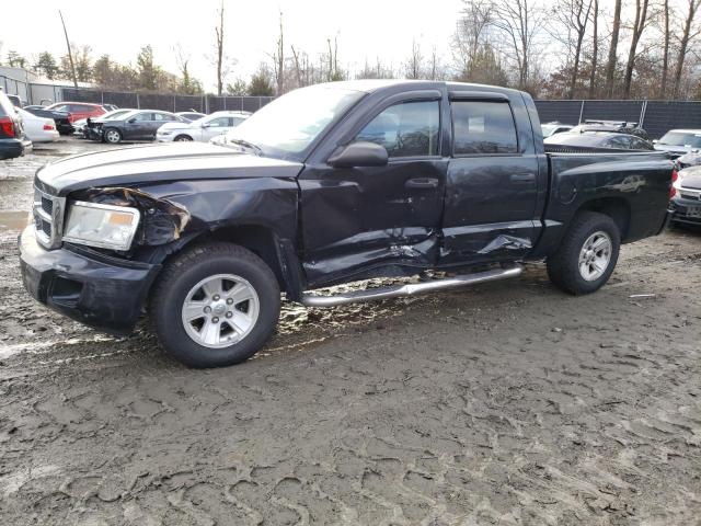 Lot #2508142316 2008 DODGE DAKOTA QUA salvage car