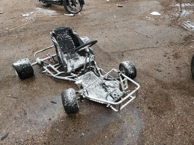 Lot #2392202374 2014 GO CART salvage car